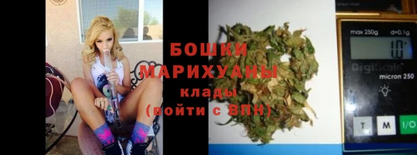 гидра Абаза