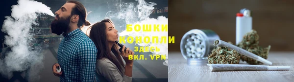 гидра Абаза