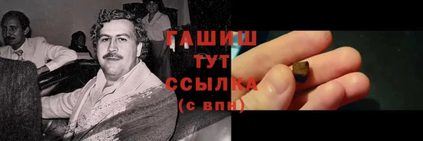 гидра Абаза