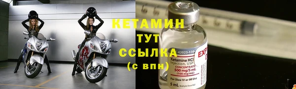 прущие грибы Коряжма