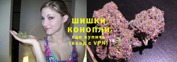 твердый Краснослободск