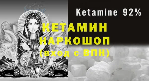 гидра Абаза