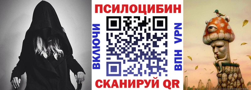 мориарти Telegram Рязань Псилоцибиновые грибы Psilocybe цена наркотик