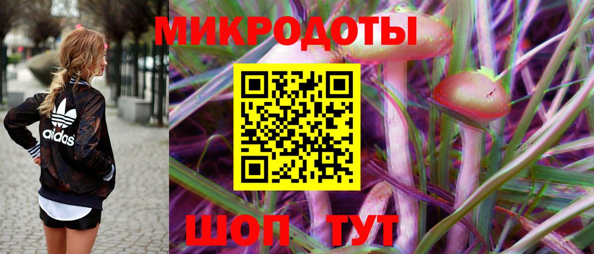 Галлюциногенные грибы прущие грибы  Галлюциногенные грибы Psilocybe  Вход с VPN  Рязань 